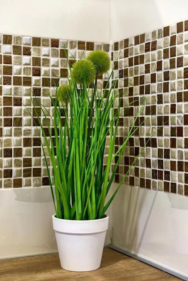 Ivy Apartments Zadar Croatia